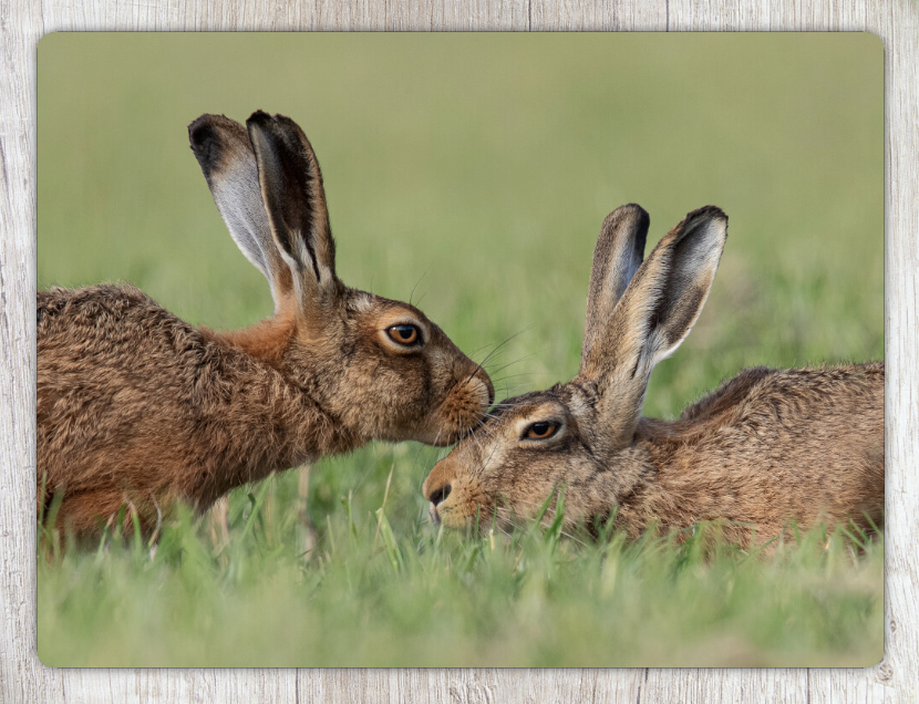 The Kiss - Brown Hares