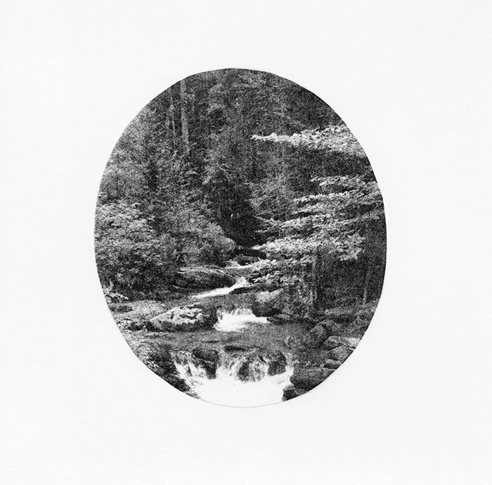 Untouched Land Cellulose transfer print 20 x 20cm Edition of 10 2016Read more about this print