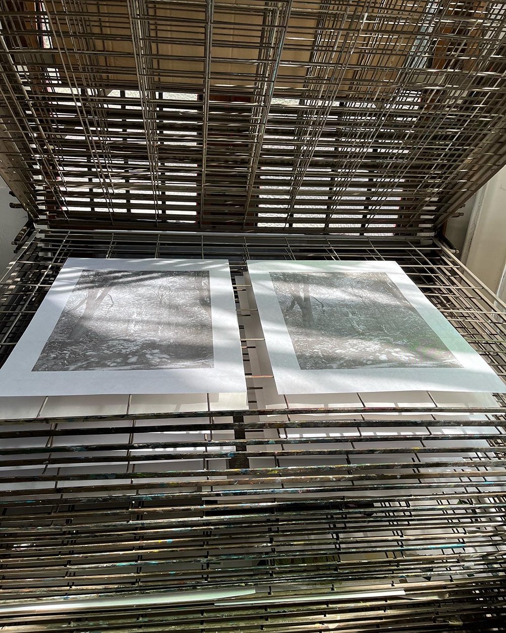 Sherrie-Leigh-Jones-Artist-Printmaker-Screenprint-Process-Komorebi-Art.jpg