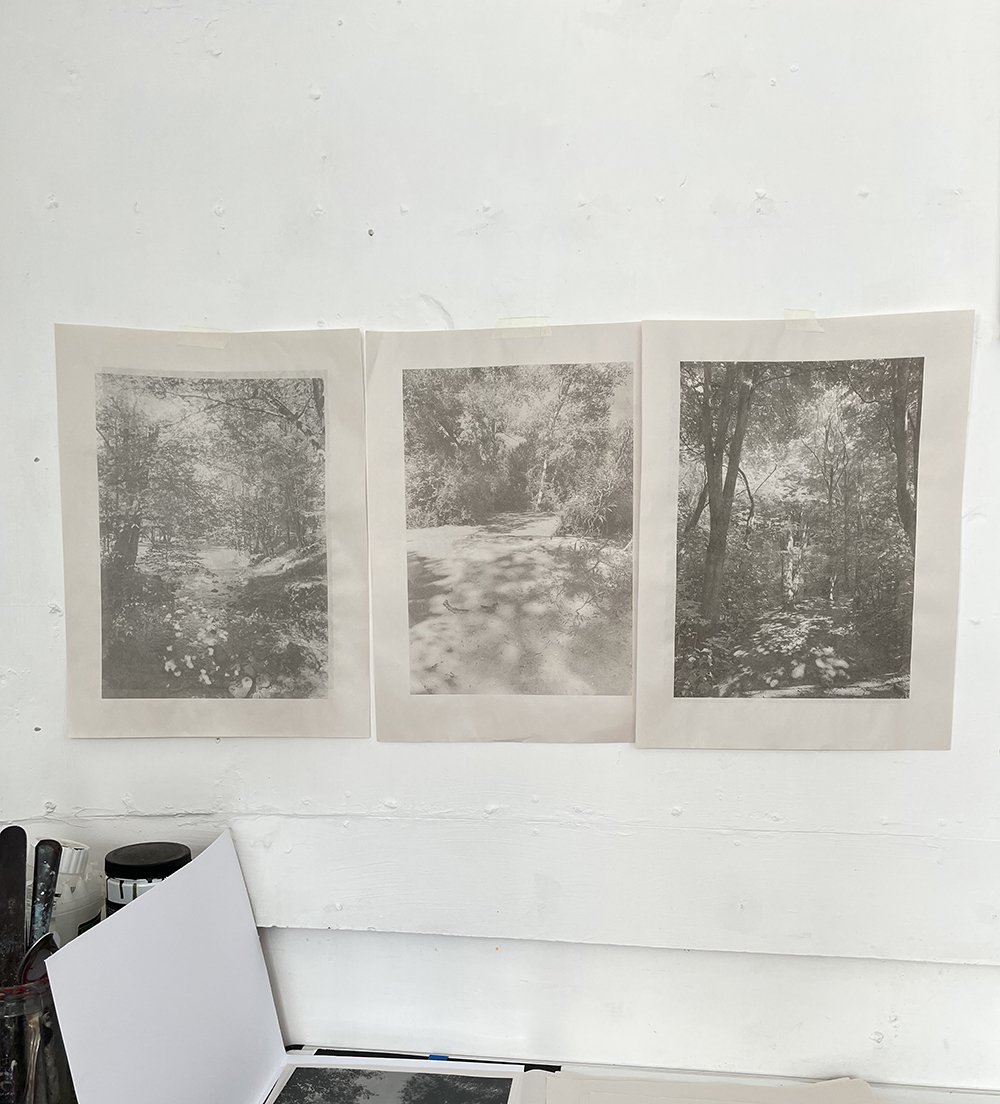Sherrie-Leigh-Jones-Artist-Printmaker-Monochrome-Komorebi-Screenprints.jpg