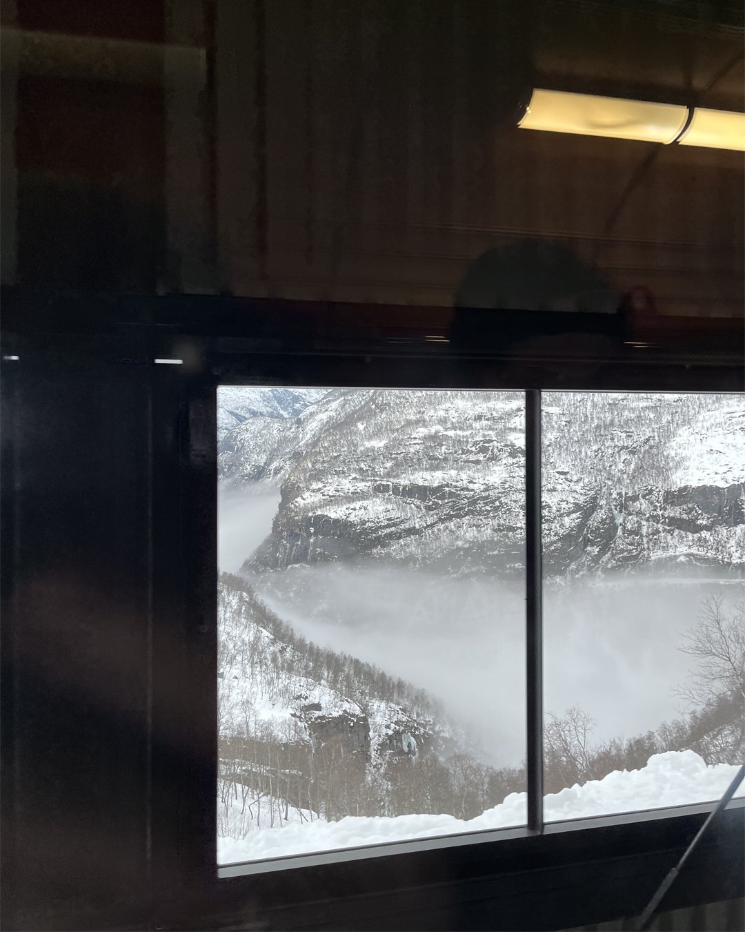 Sherrie-Leigh-Jones-Flamsbana-Railway-Views-Inside-Winter.jpg