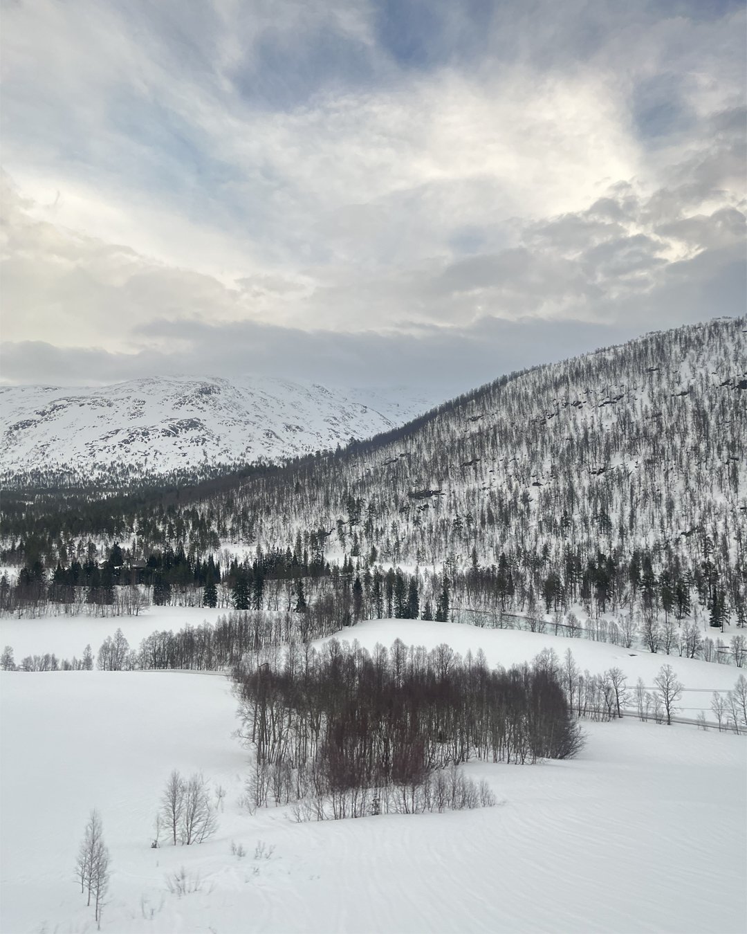 Sherrie-Leigh-Jones-Myrdal-Train-Ride-Views-Norway.jpg