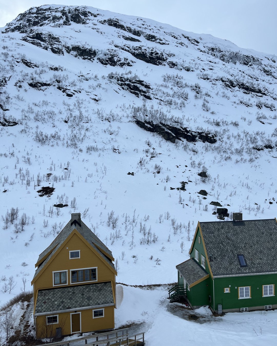 Sherrie-Leigh-Jones-Norwegian-Mountain-Houses-Winter.jpg