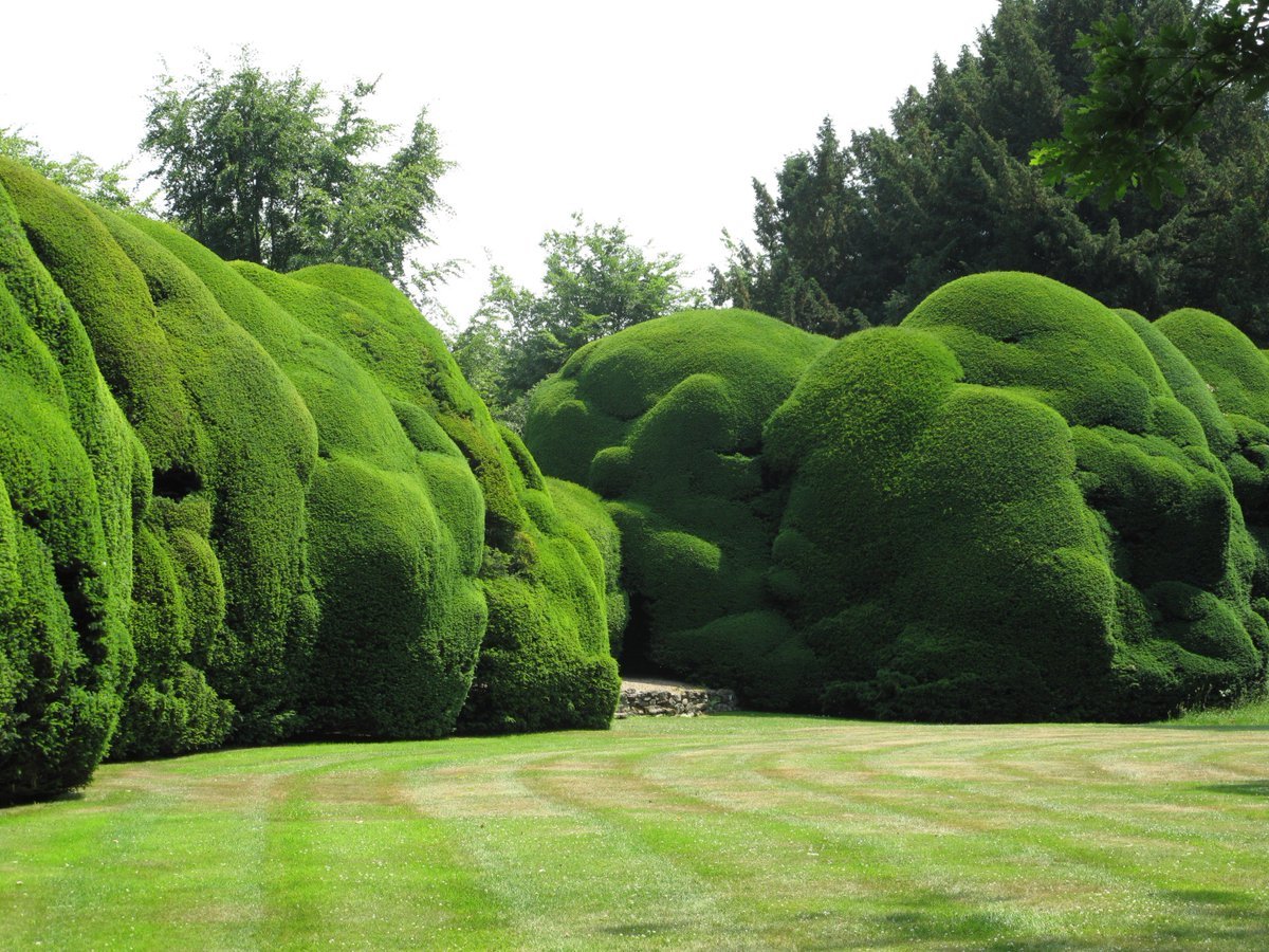 Sherrie-Leigh-Jones-Artist-Printmaker-Brighton-Japanese-Topiary-Garden.jpeg