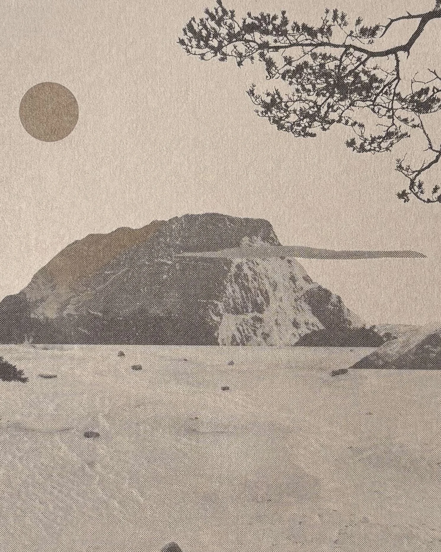 Sherrie-Leigh Jones_Under Moonlit Skies_Detail_.jpg