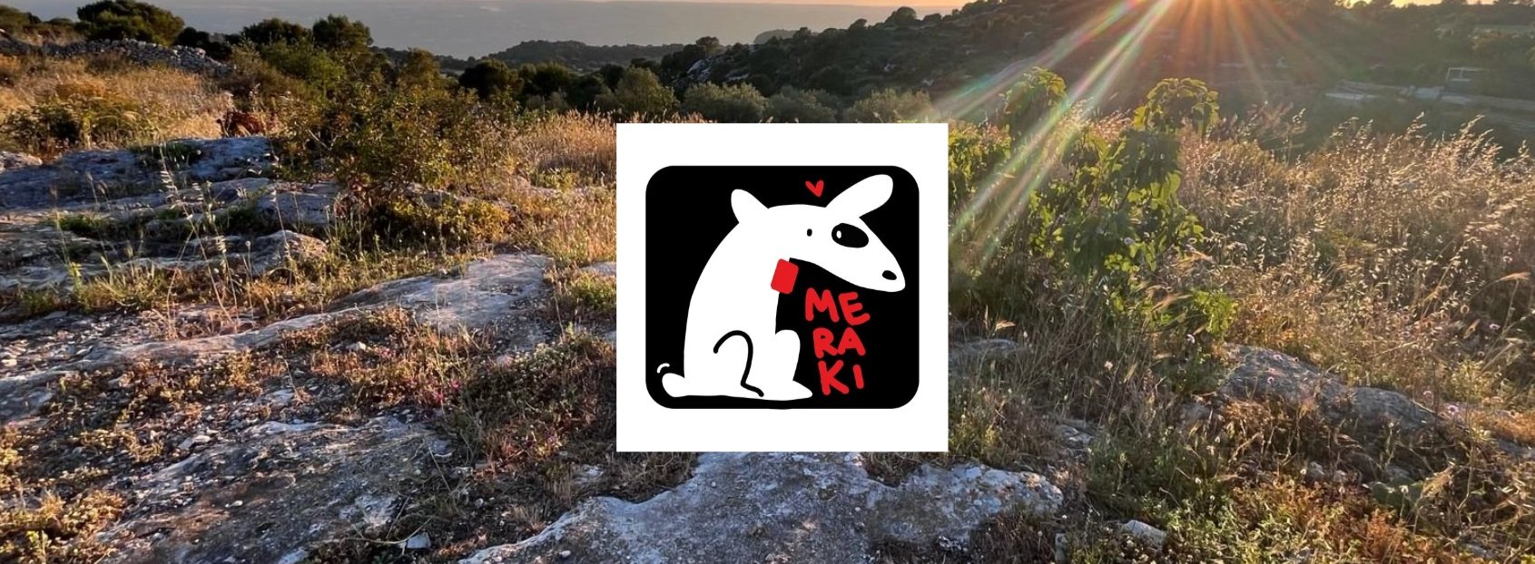 meraki+fb+cover.jpg