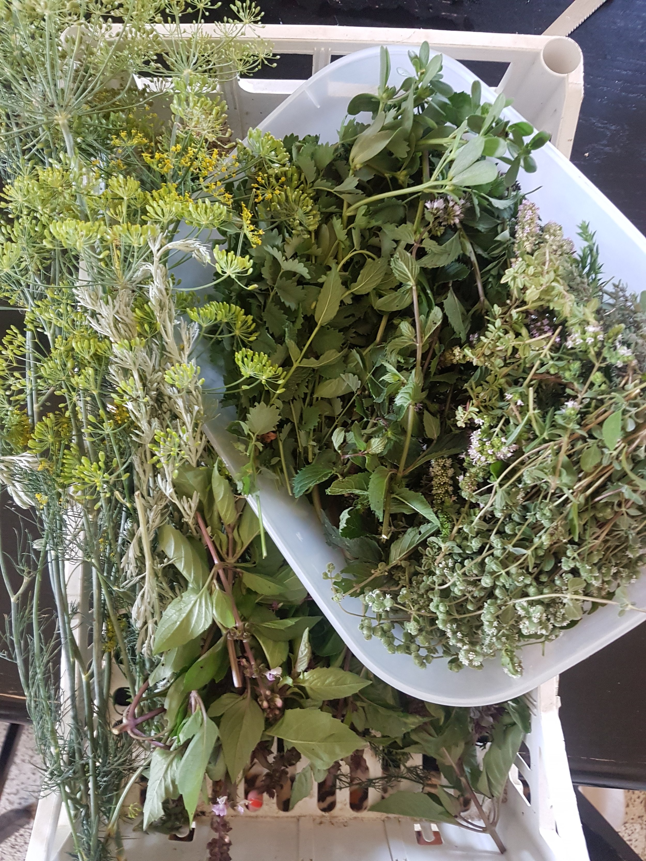 20180705_091708.jpg