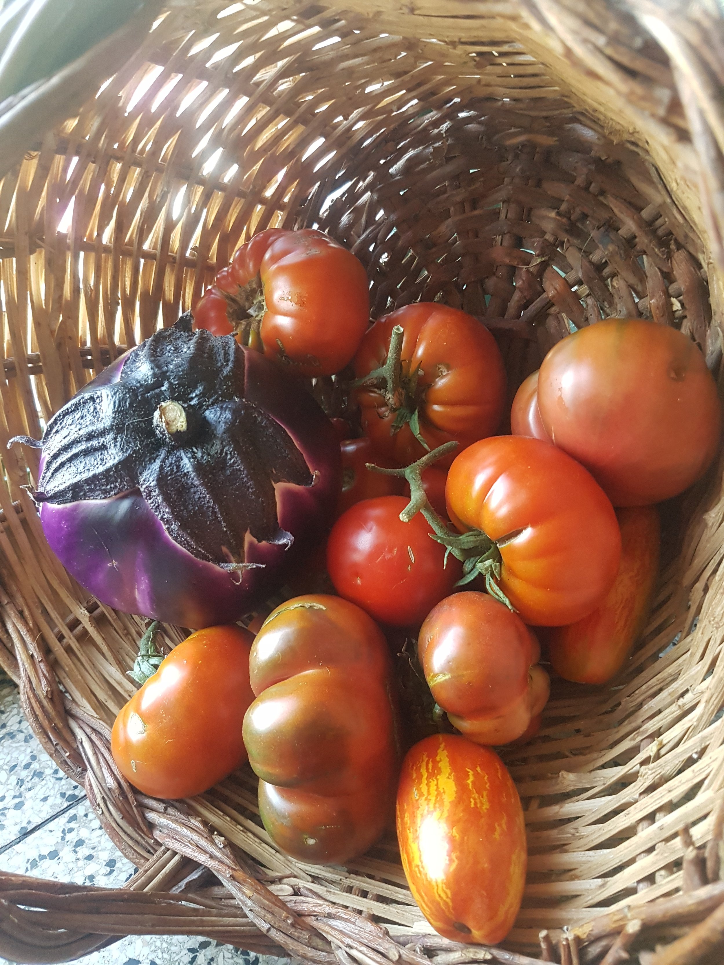 20180713_082651.jpg