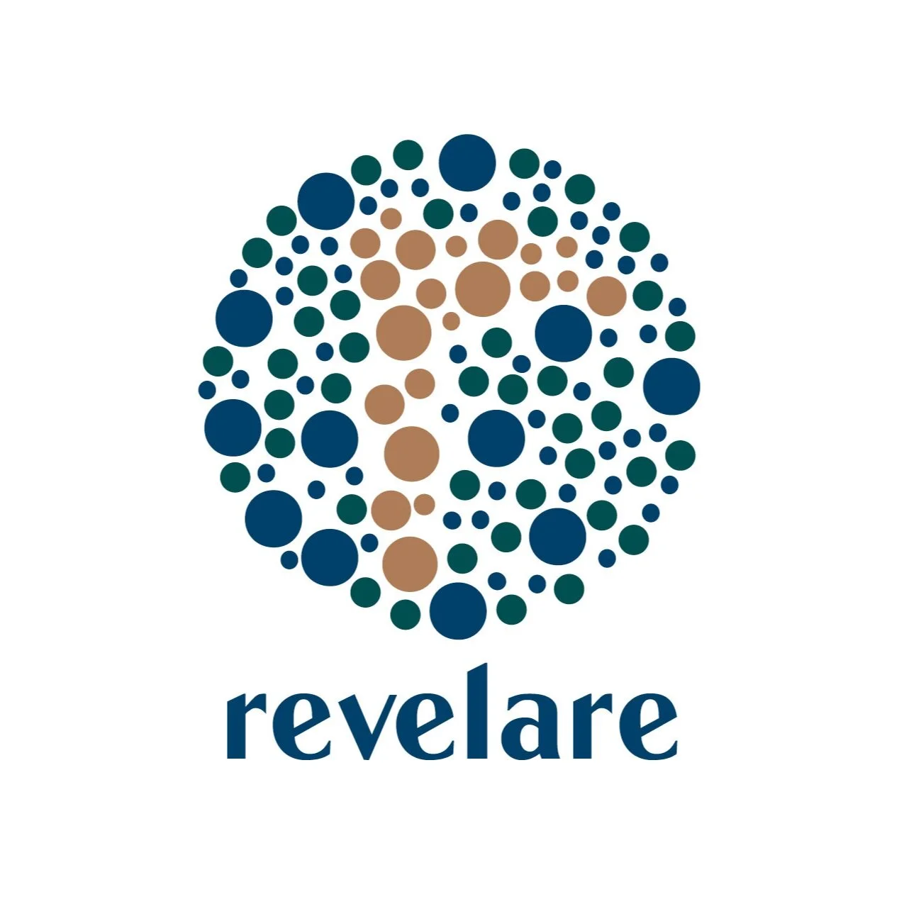 RevelareBrandBook.jpg