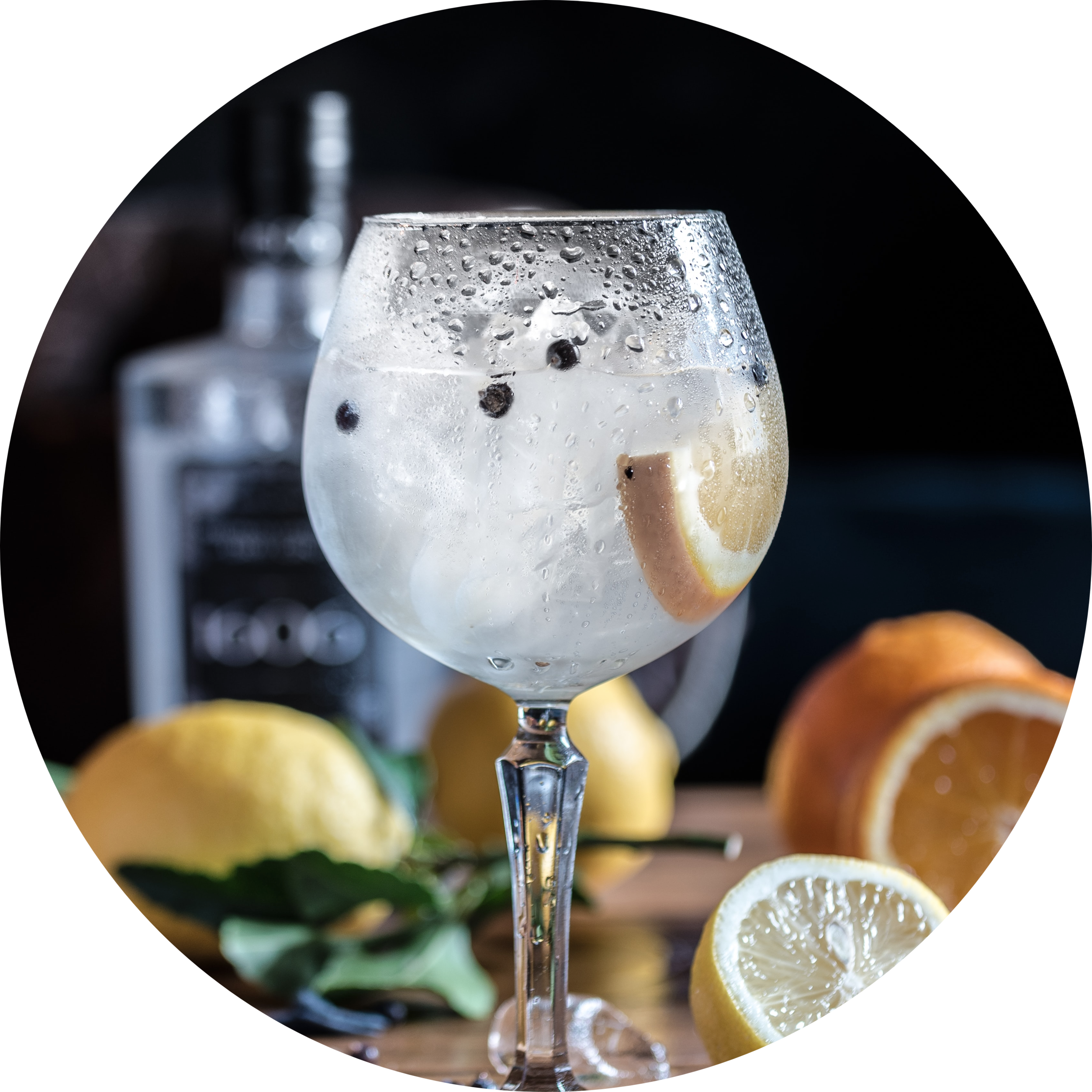 GIN COCKTAILS