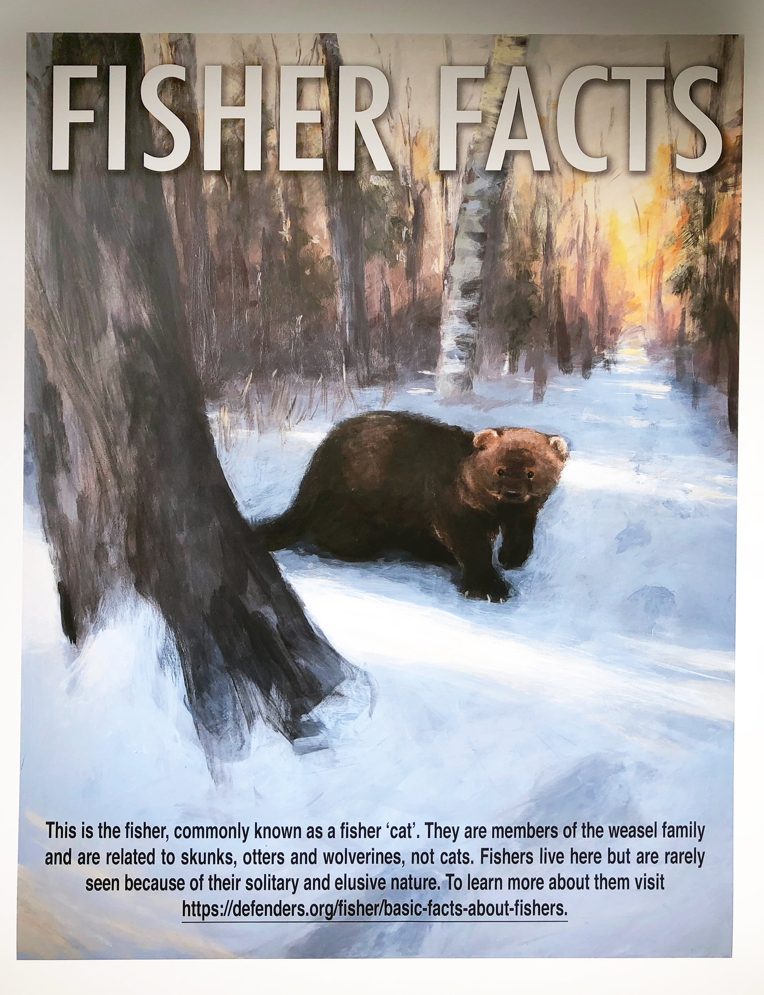 Fisher Facts by Ali Bartlett