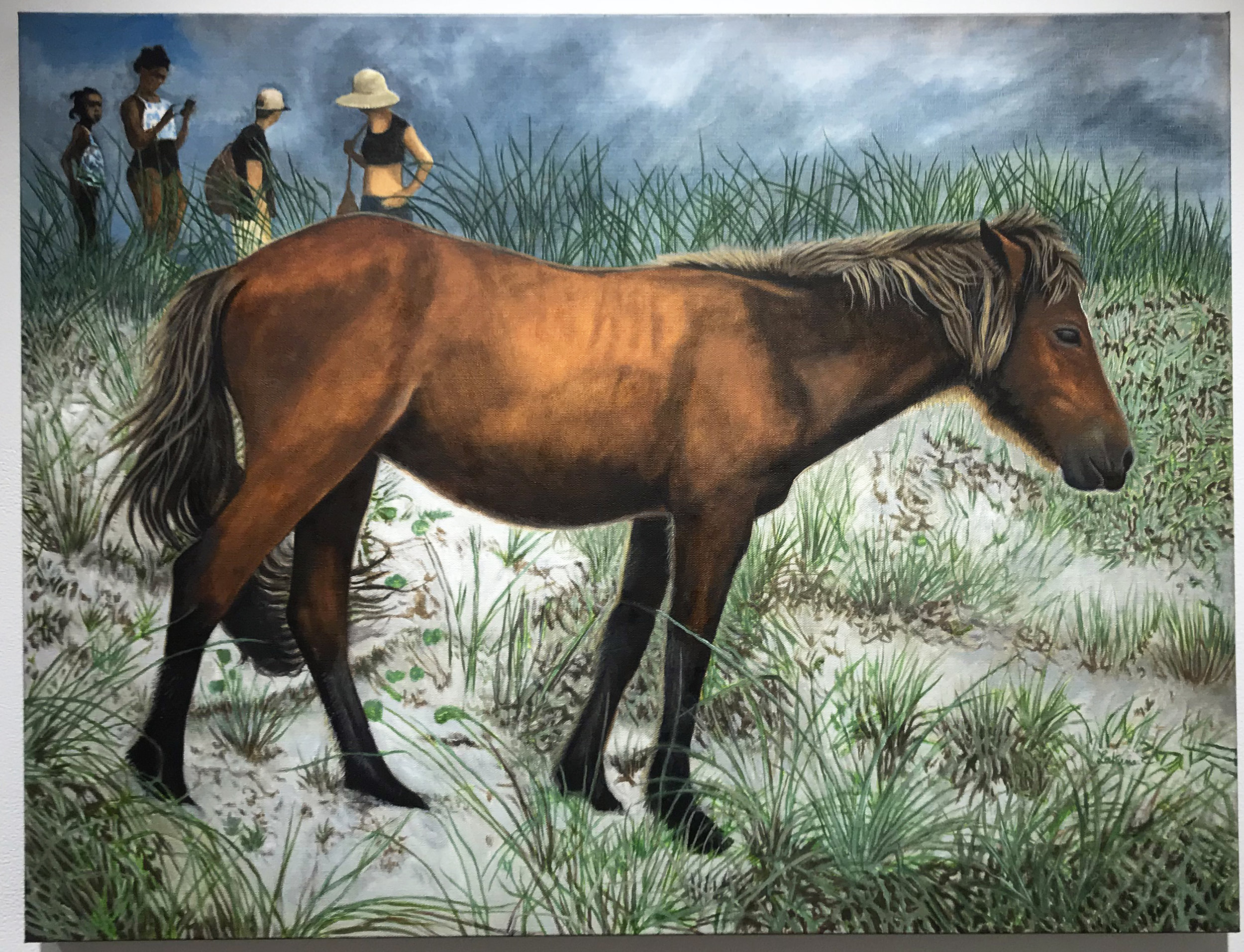 Shackleford Banks Horses by Jan Lukens