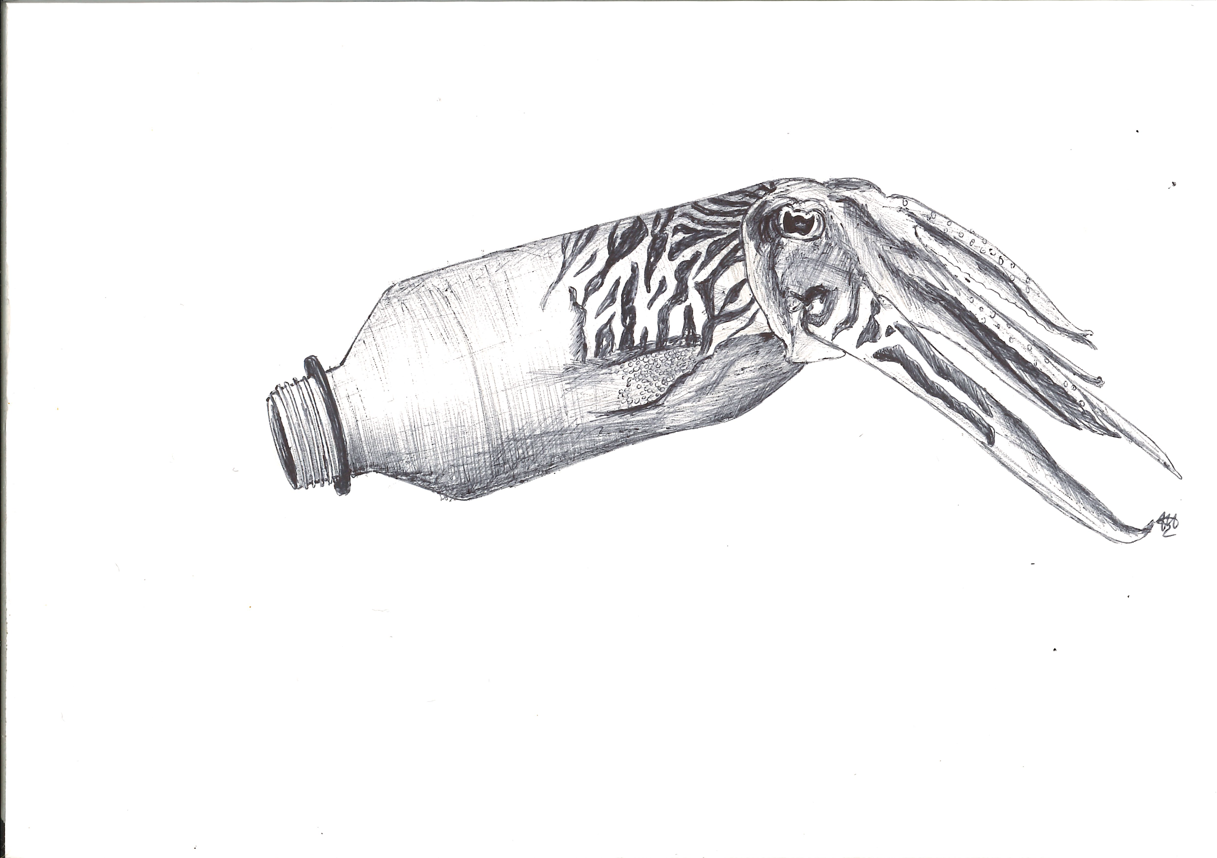 Marine Pollution — Creature Conserve