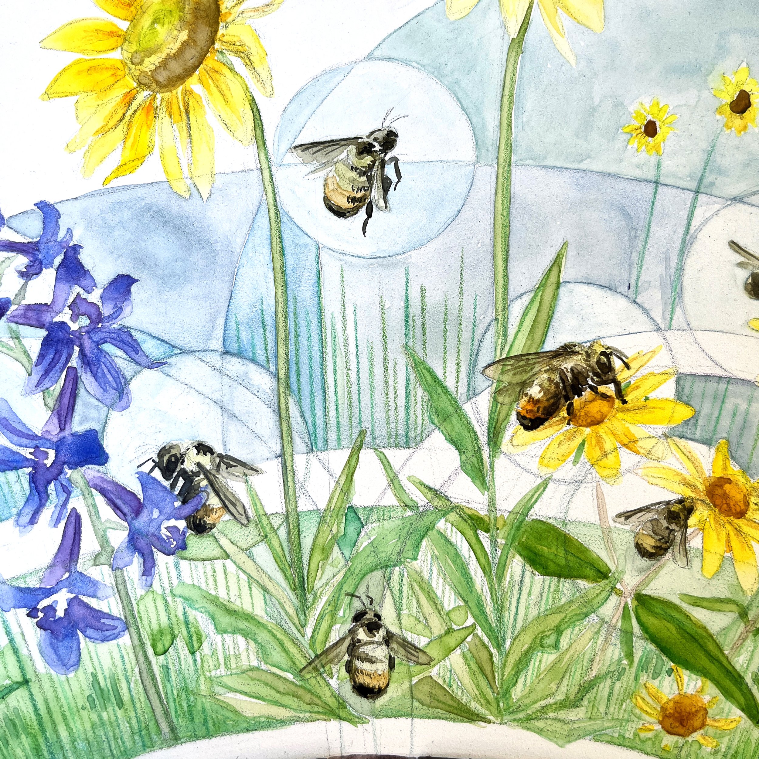 Bumblebee Life Cycle detail 1