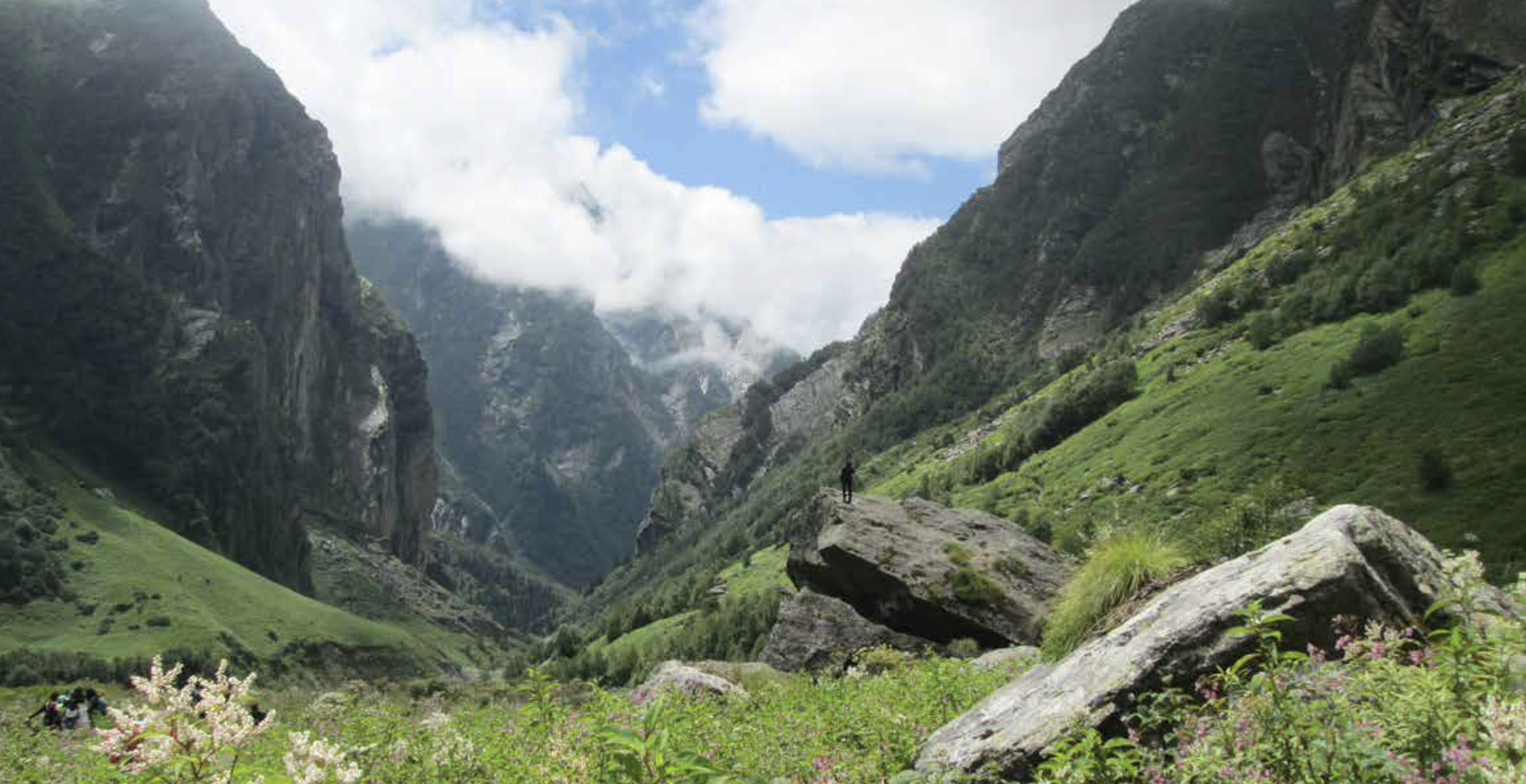 Valley of Flowers, India