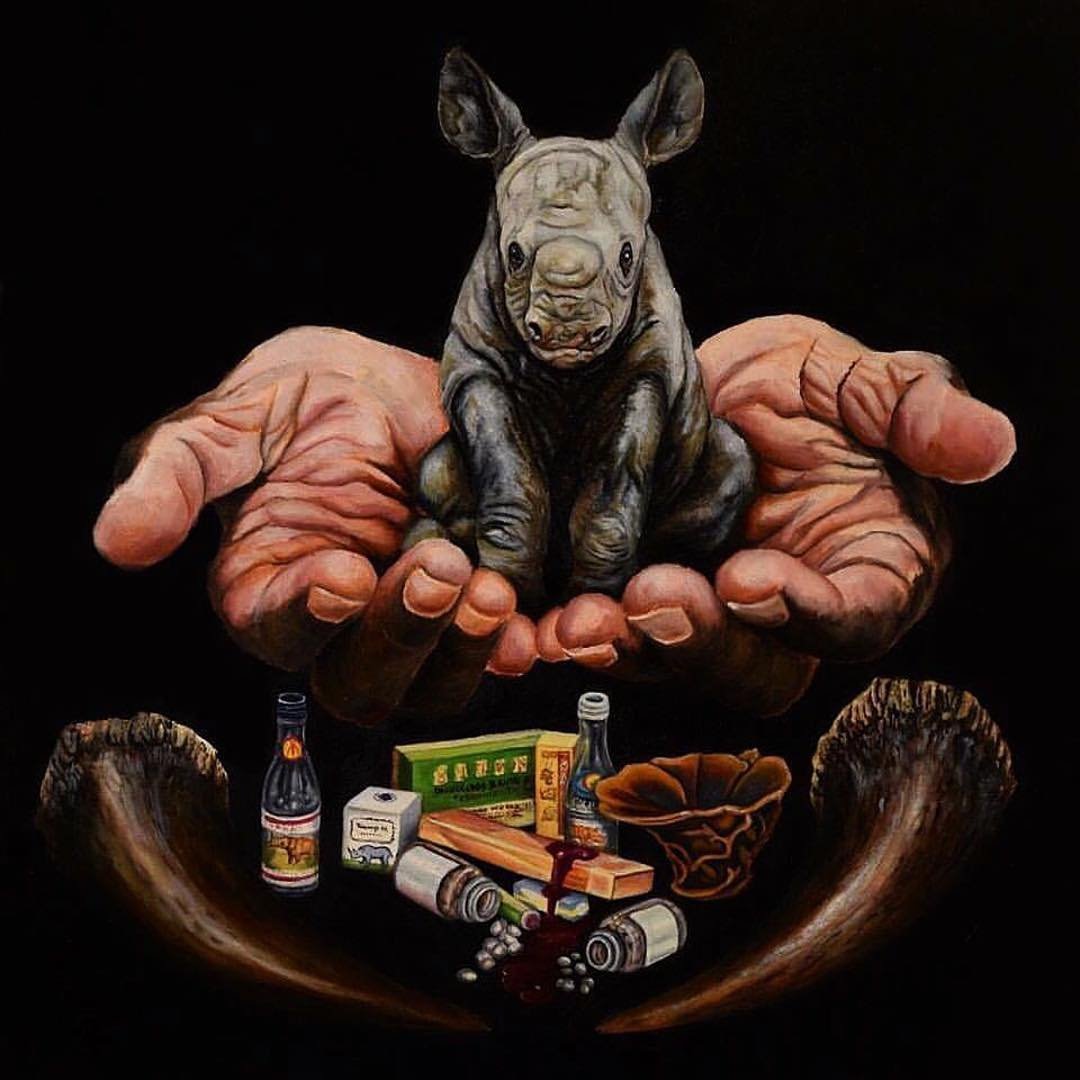 In Our Hands: Rhino
