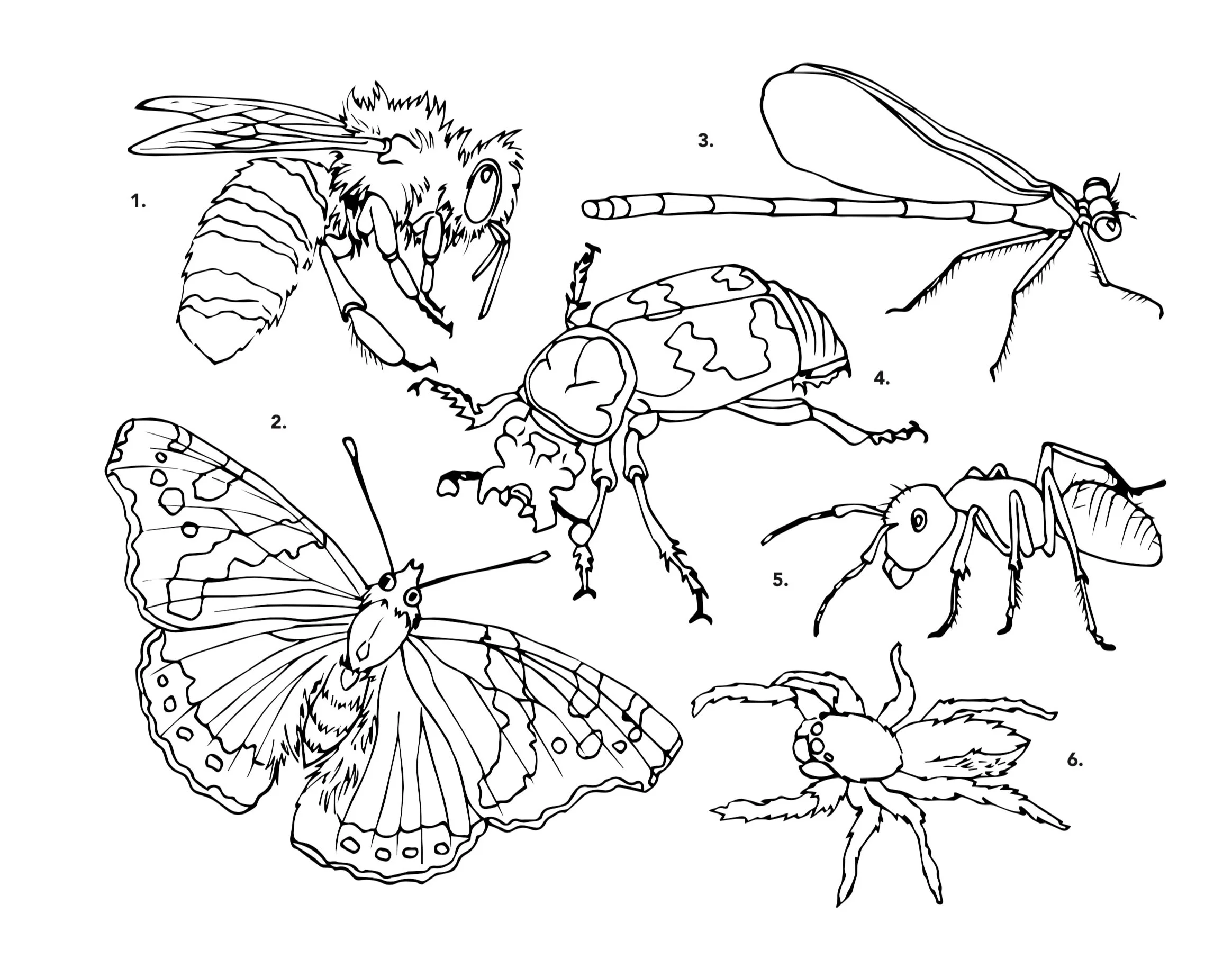 EO coloring book page example4.jpg