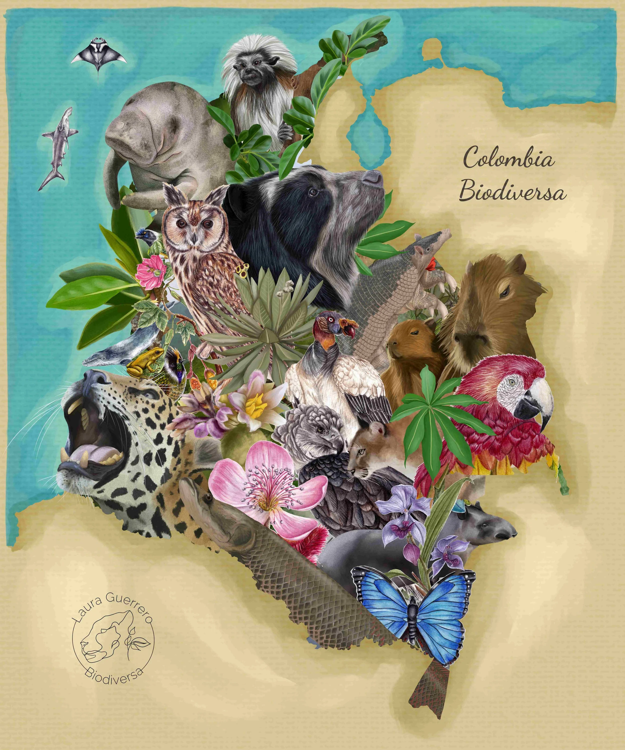 Laura Juliana Guerrero Guerrero: Two Ways of Inhabiting a Territory: Colombia Biodiverse