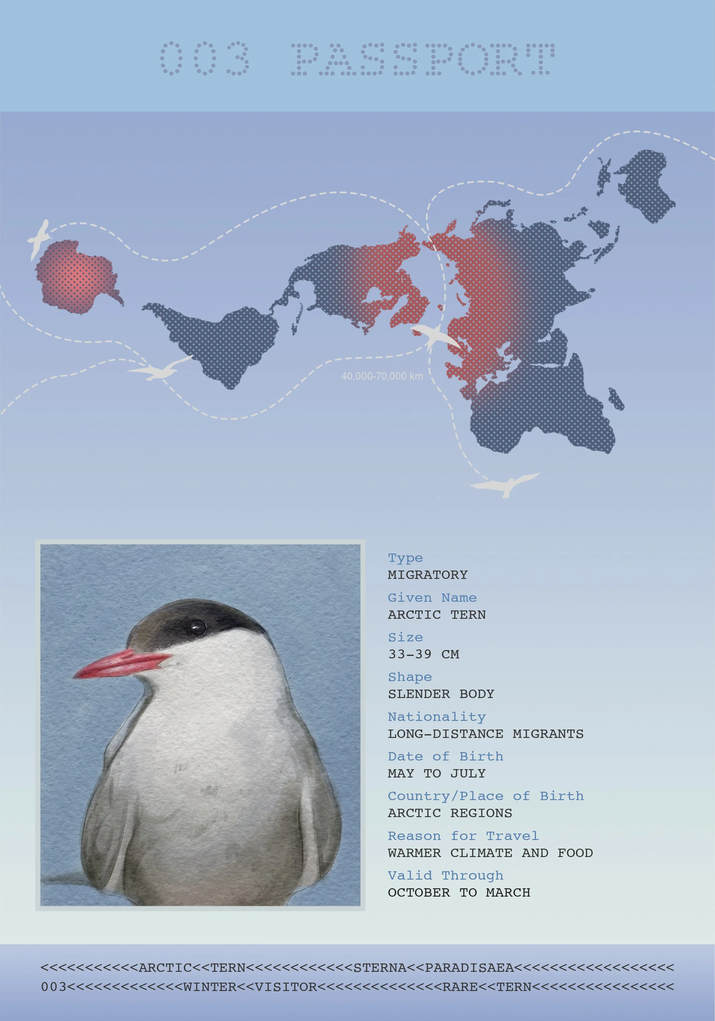 Bandana Paul: Arctic Tern Passport
