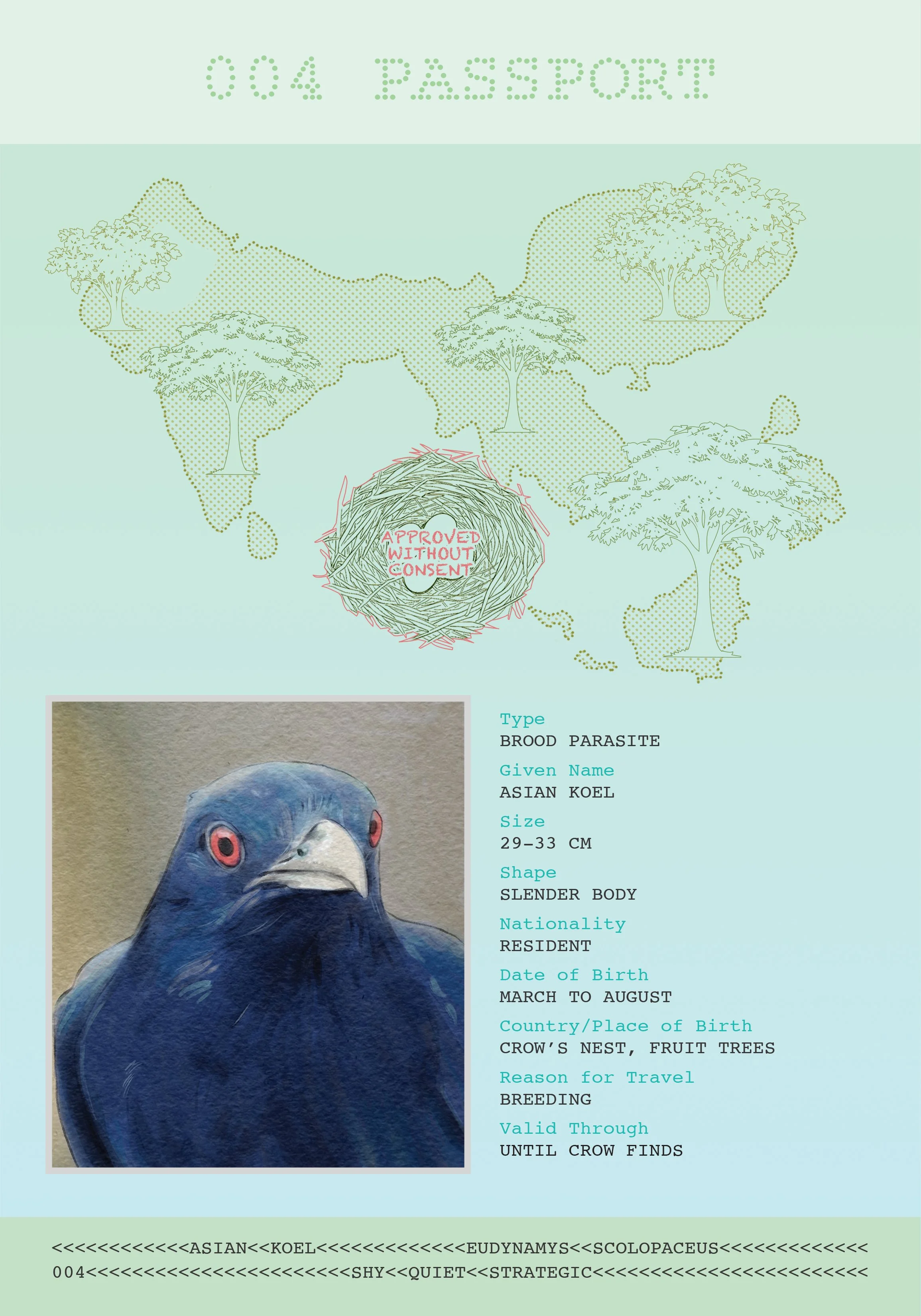 Bandana Paul: Asian Koel Passport