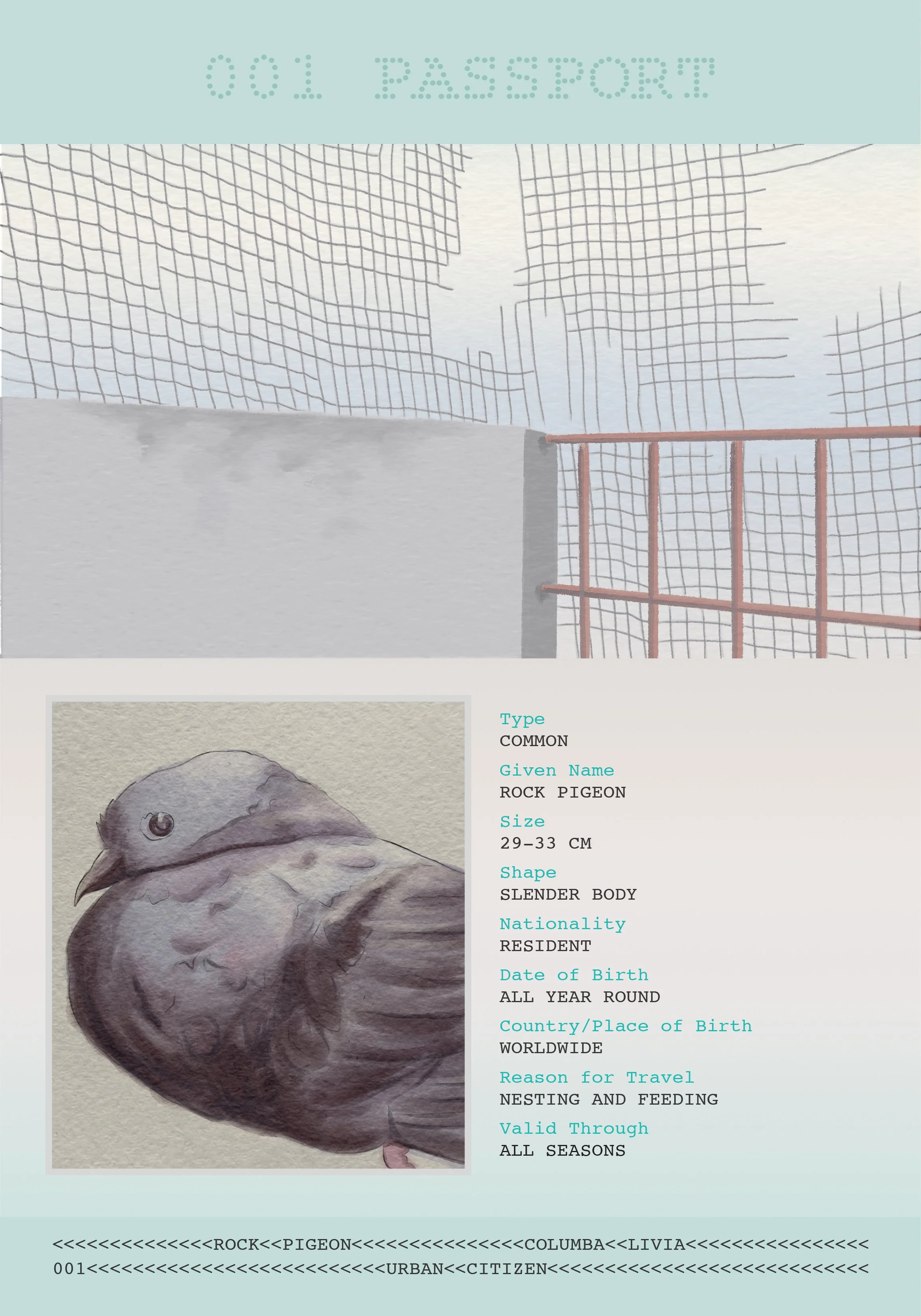 Bandana Paul: Rock Pigeon Passport