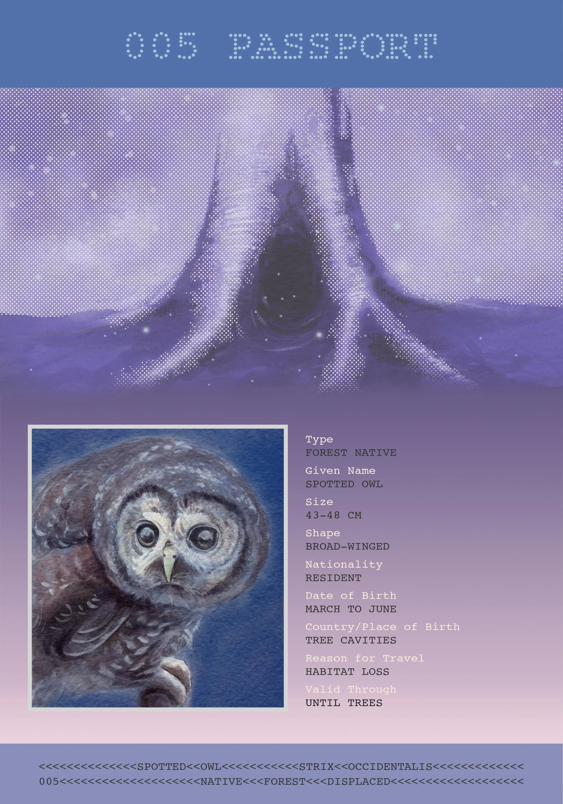 Bandana Paul: Spotted Owl Passport