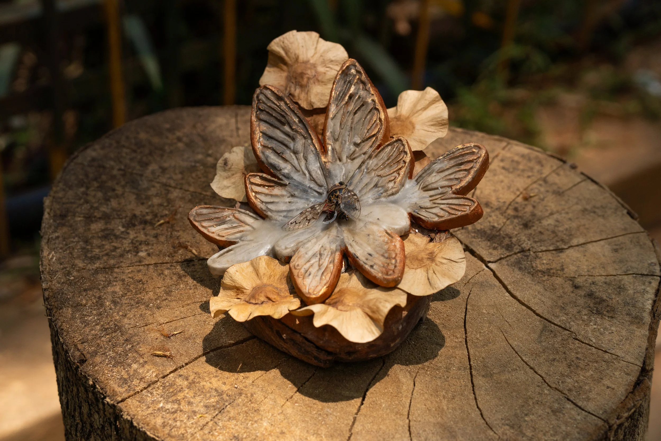 Anjali Pujari: Wings of Reverence