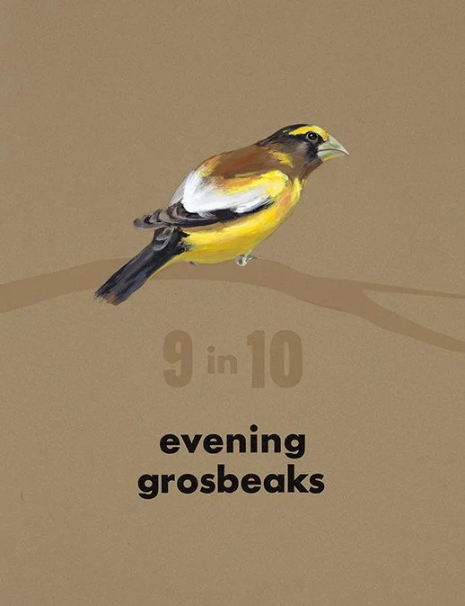 Valerie Carrigan: Gone: Evening Grosbeak