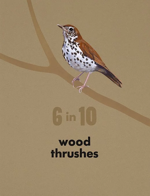 Valerie Carrigan: Gone: Wood Thrush