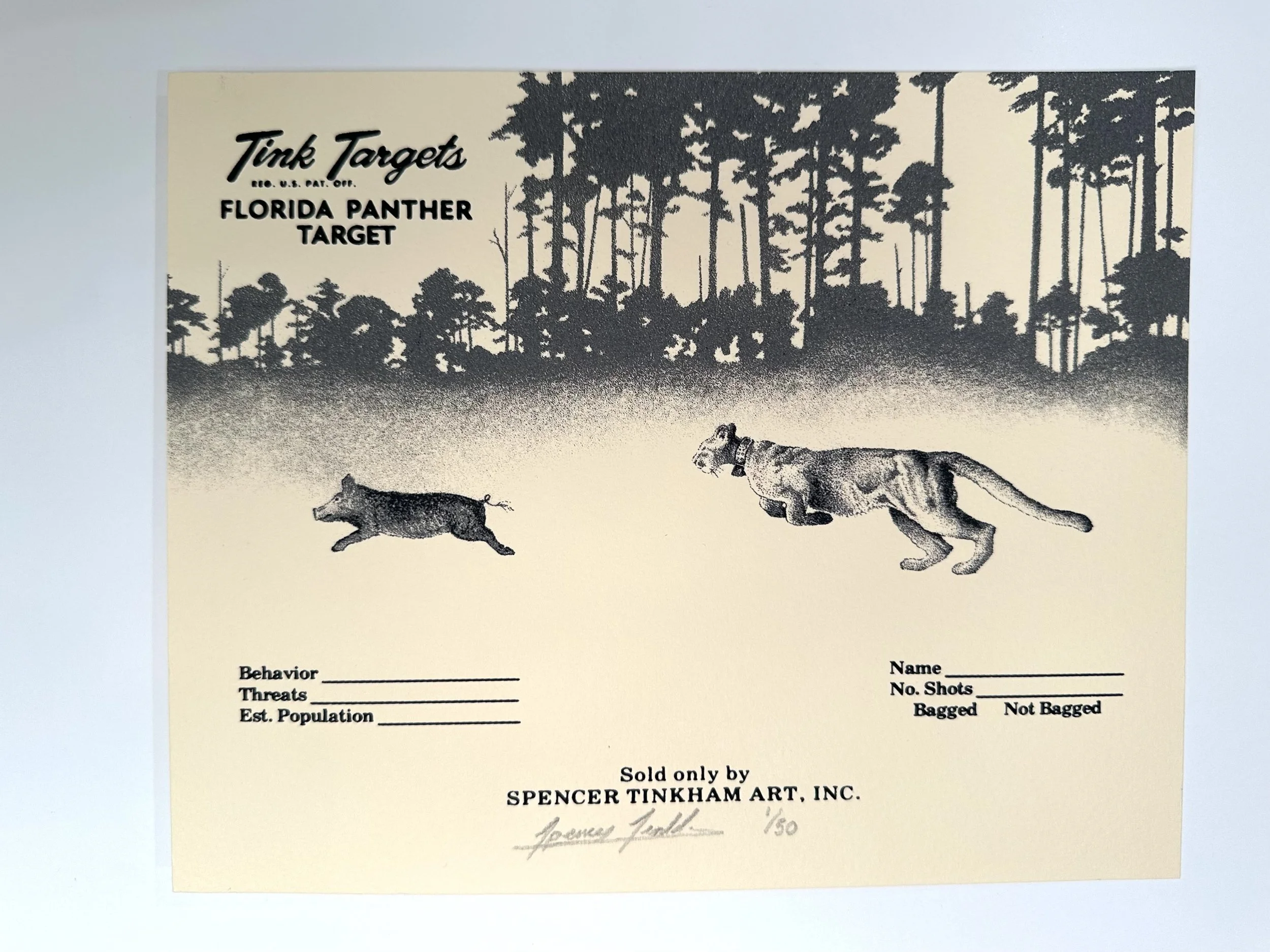 Spencer Tinkham: Florida Panther 