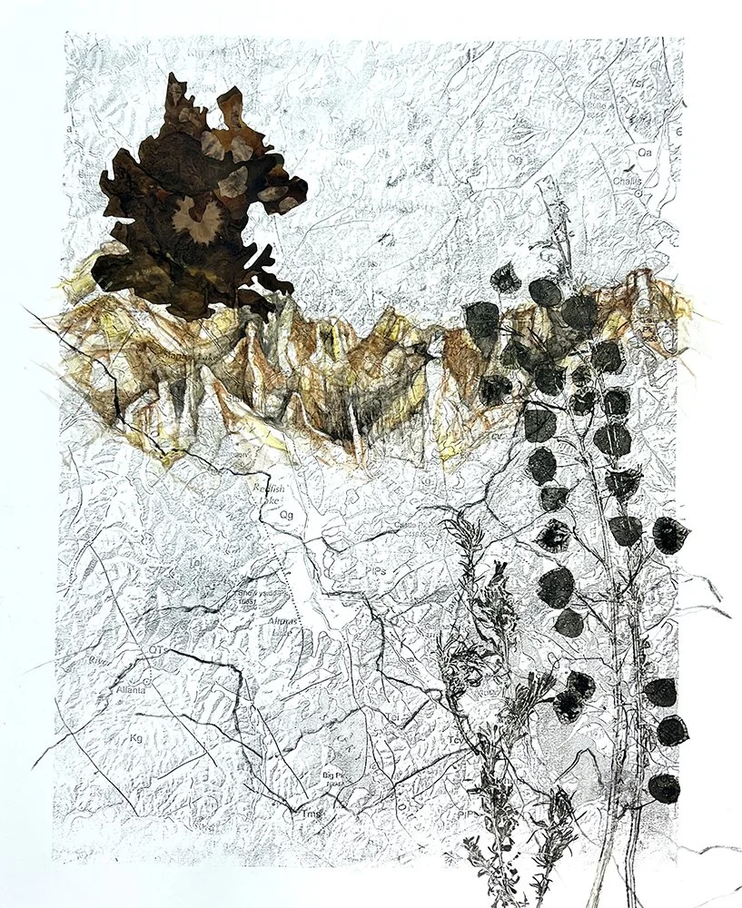 Rebecca Schultz: All Over the Map