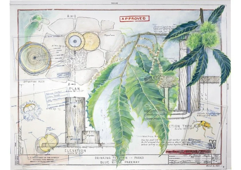 Sandy Kessler Kaminski: American Chestnut Drinking Fountain