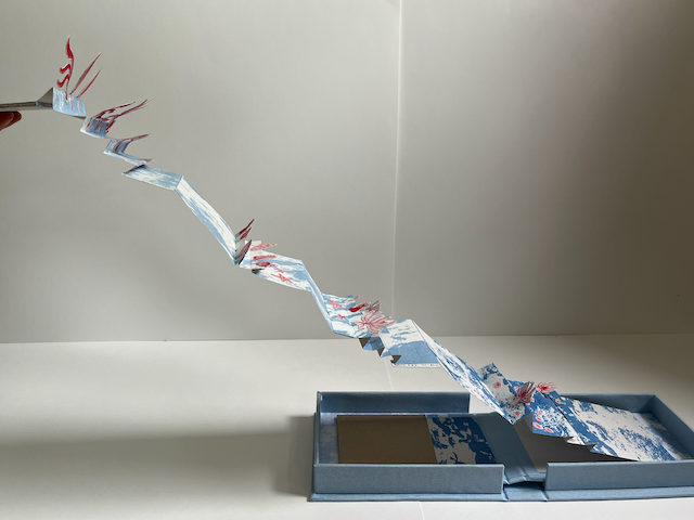 Carlotta Gessler: Cashes Ledge