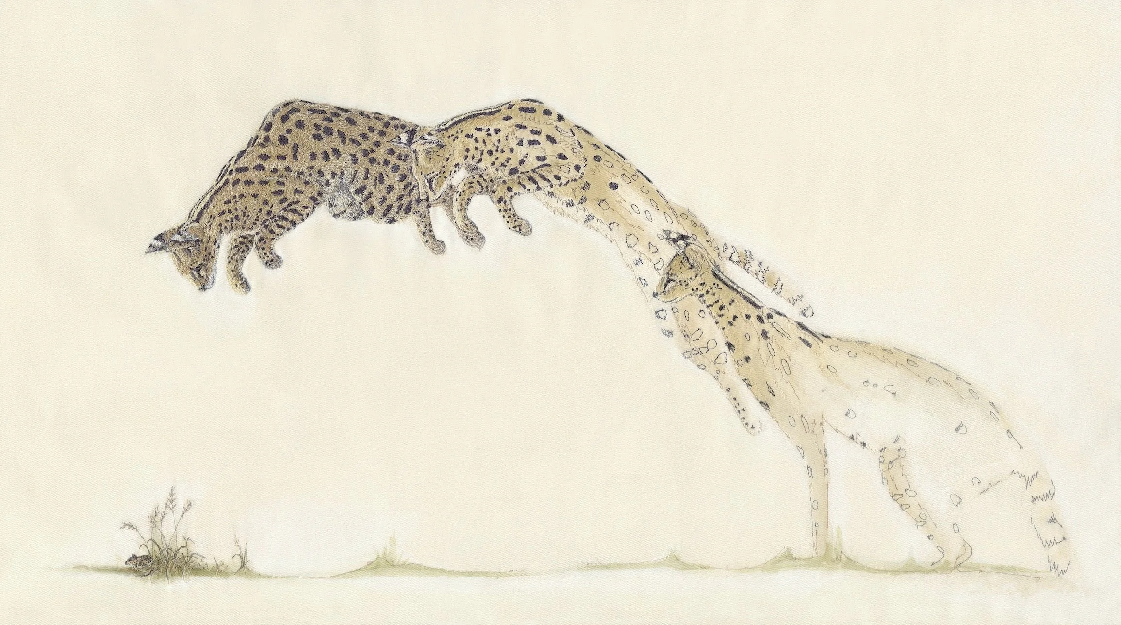 Sophie Niemann: Precision Pounce