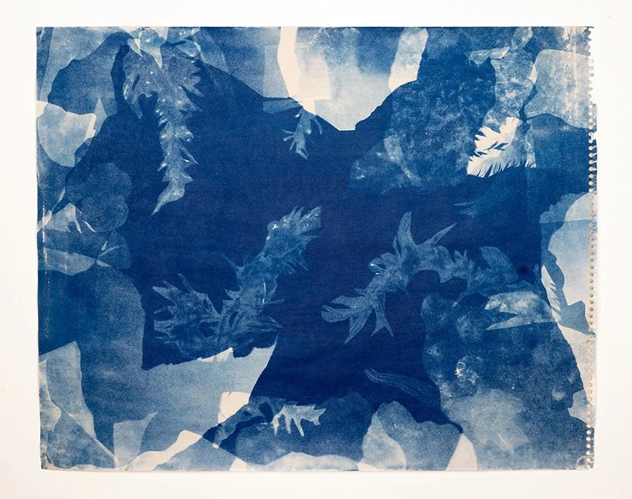 Elizabeth Ellenwood: Artificial Reef 1