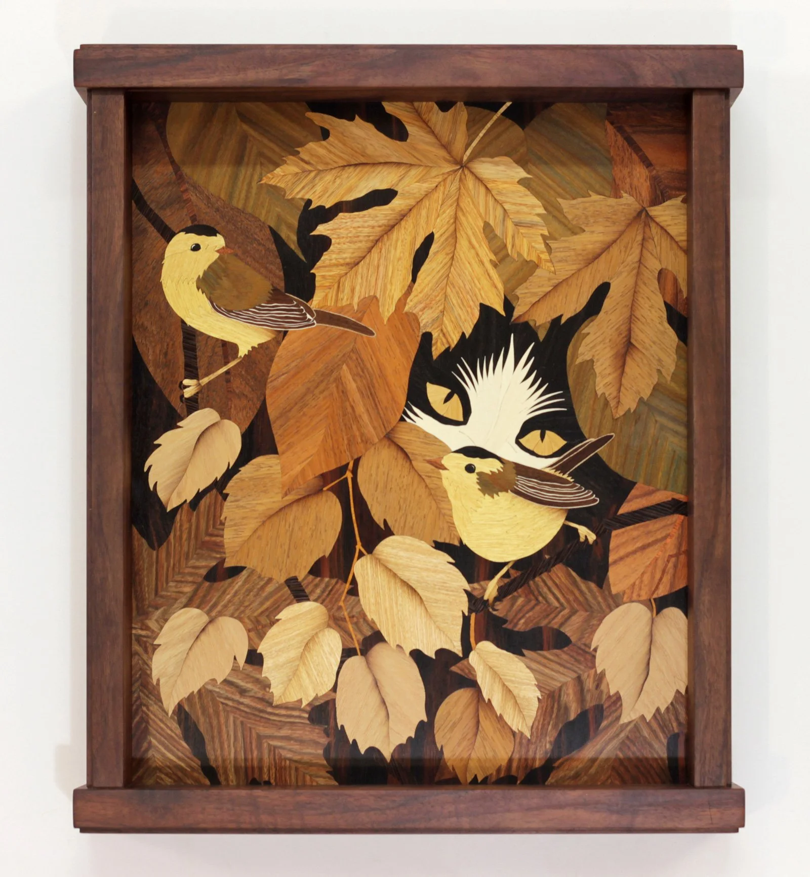 Matthew Werner: EXTINCTION AVIARY: Warblers with Cat