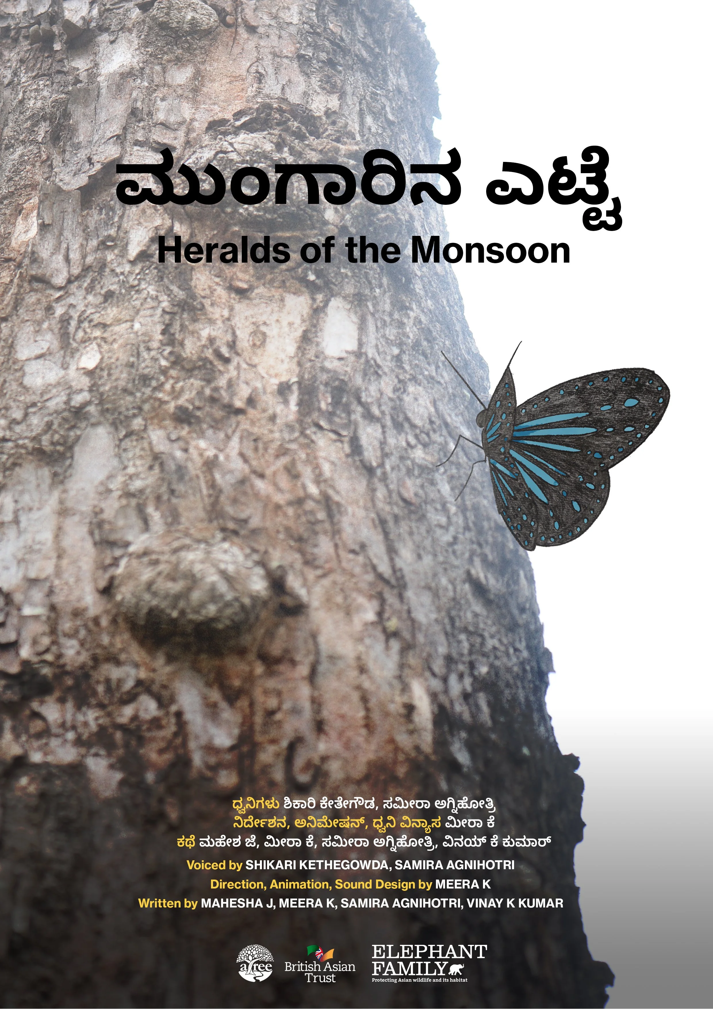 Meera Krishnamurthy: The harbinger of the Monsoon 