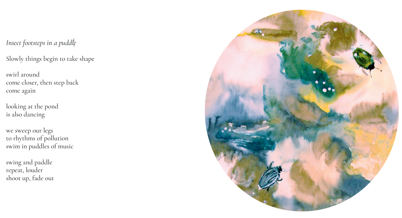 Suze Agnes: Insect Footprints in a Puddle