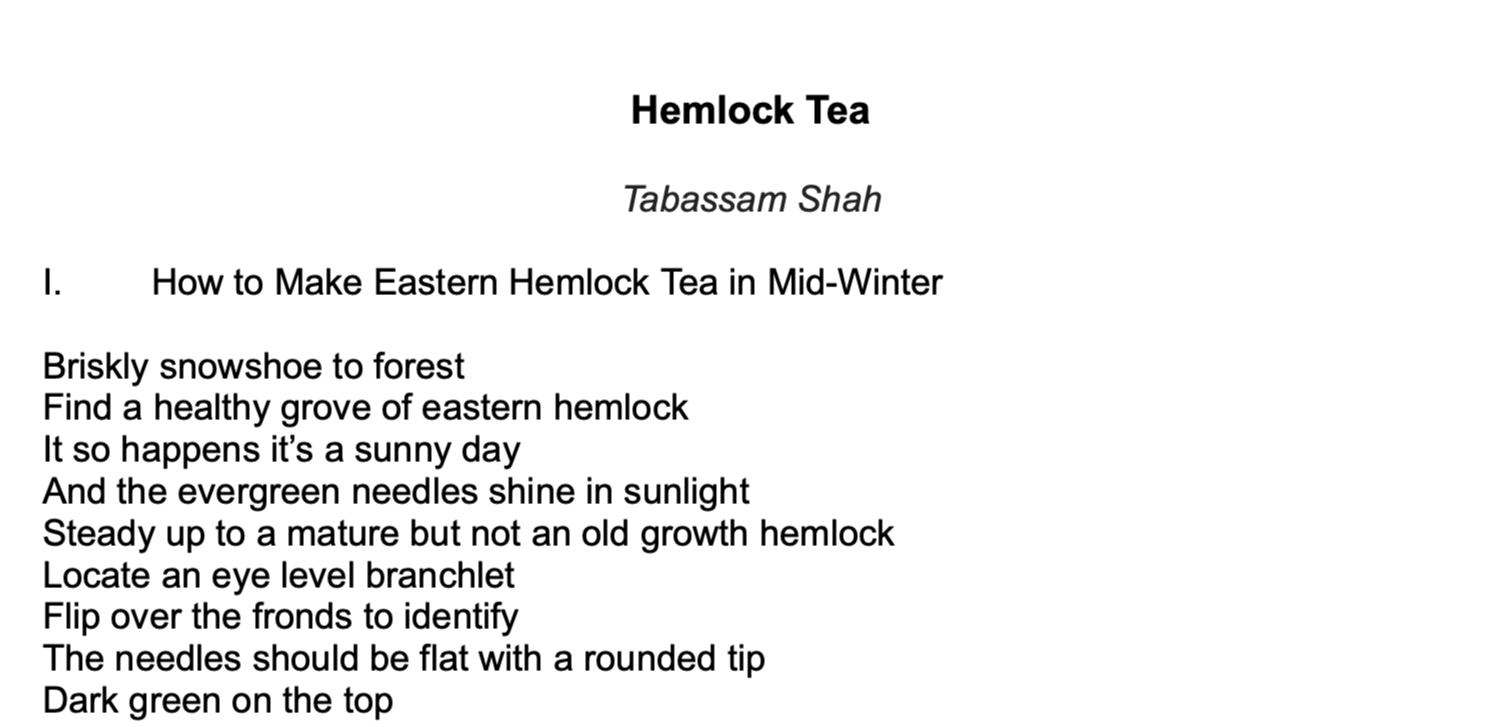 Tabassam Shah: Hemlock Tea