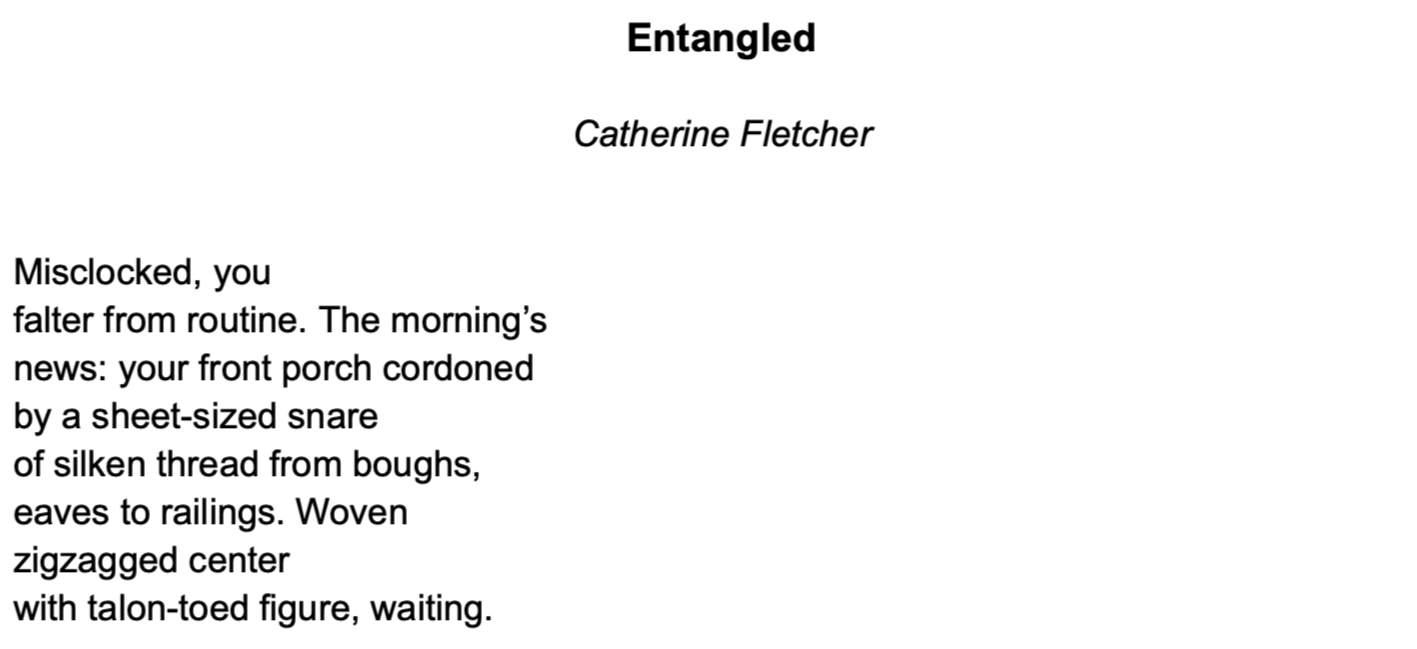 Catherine Fletcher: Entangled