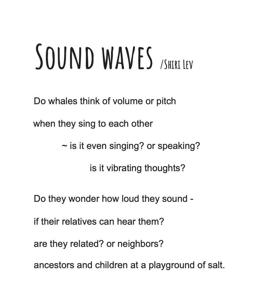 Shiri Lev: Sound Waves