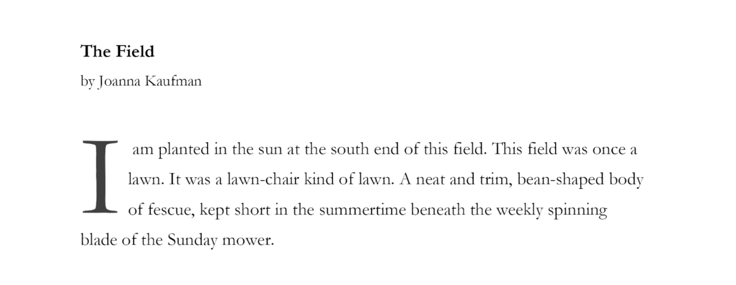 Joanna Kaufman: The Field