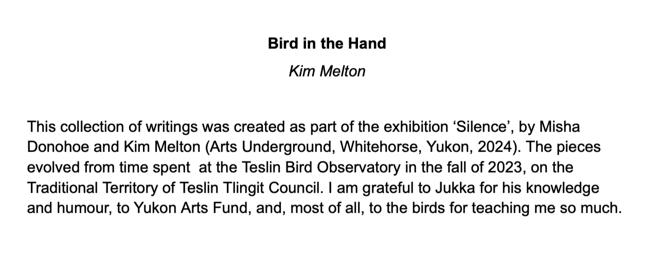Kim Melton: Bird in the Hand