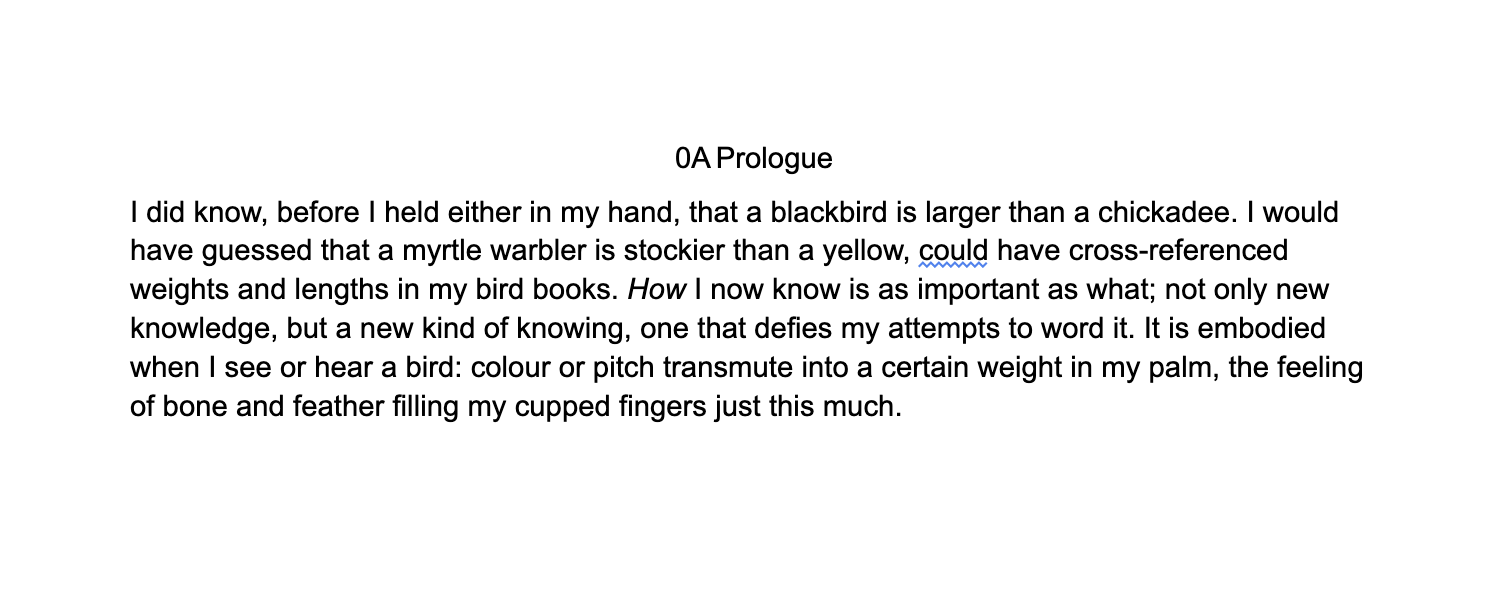 Kim Melton: Bird in the Hand