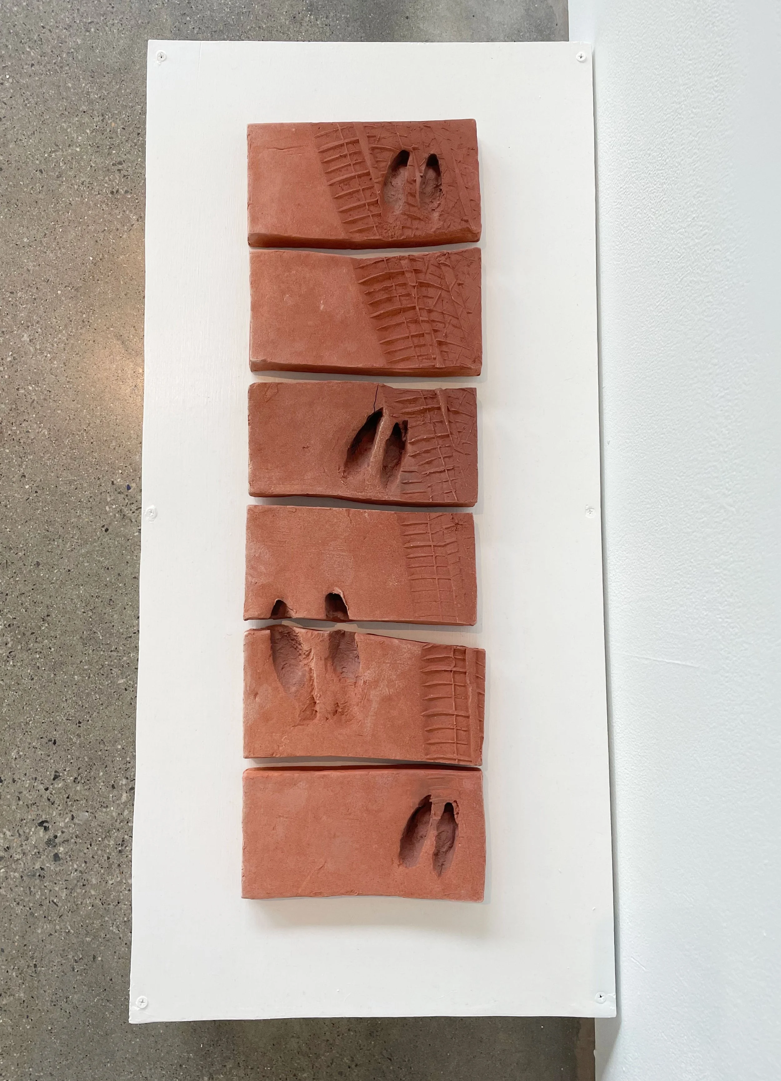Footprints, "Re-Examining Conservation"