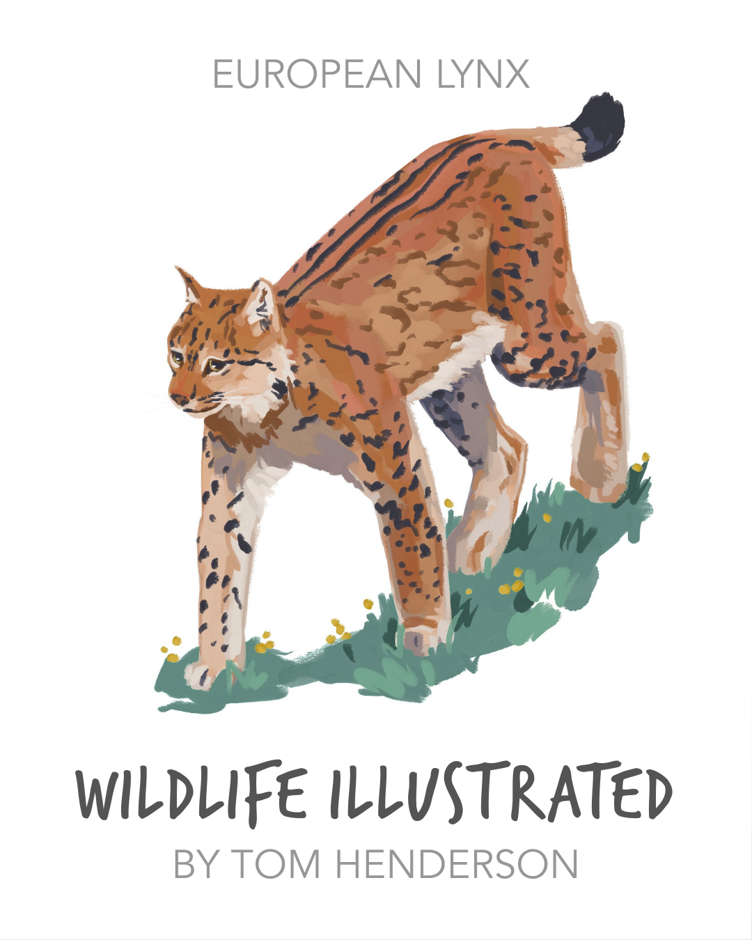 1 Tom Henderson-WildlifeIllustrated.png