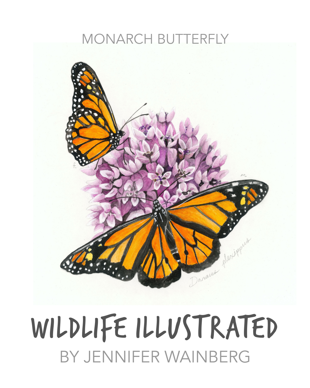 1.JenniferWainberg_MonarchButterfly.png