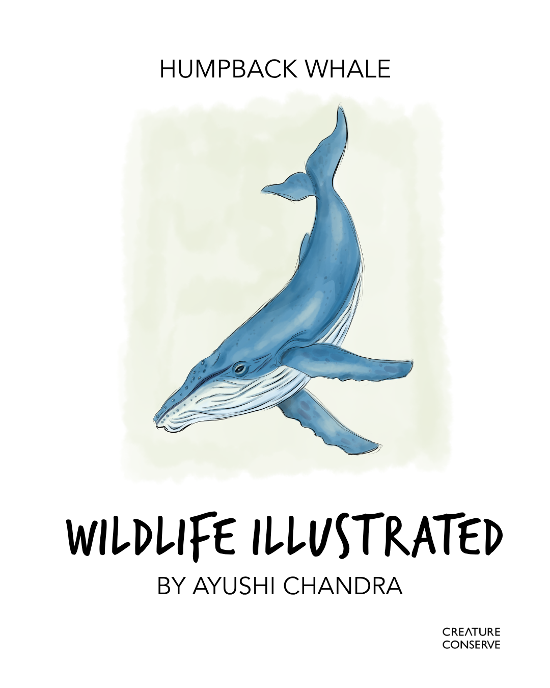 1.AyushiChnadra_HumpbackWhale.png