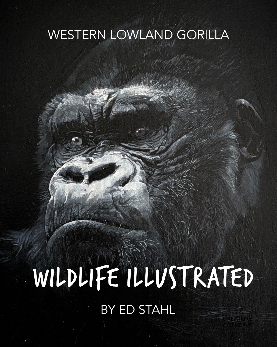 1.EdStahl_WesternLowlandGorilla.png