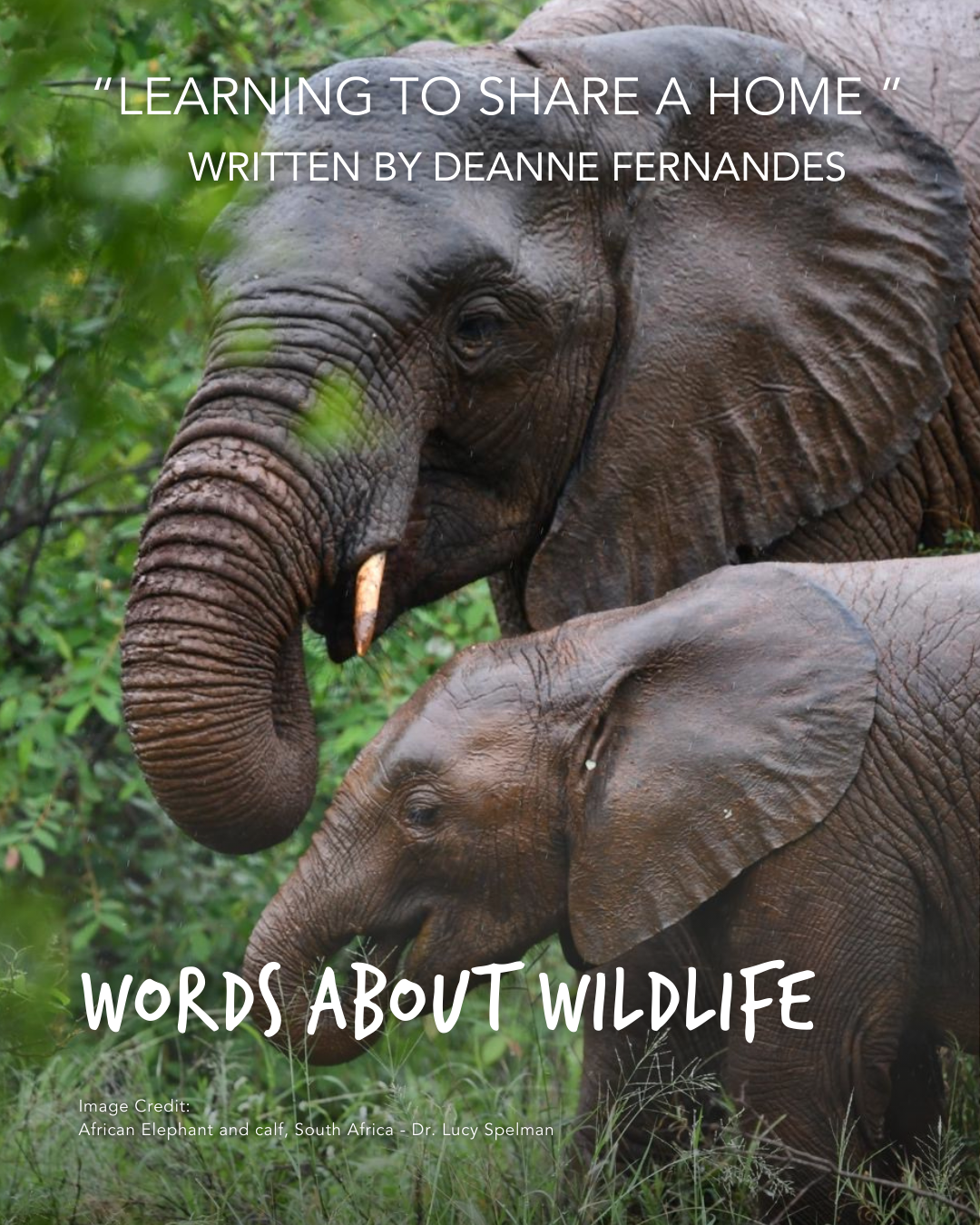 1DeanneFernandes_WSWriting.png